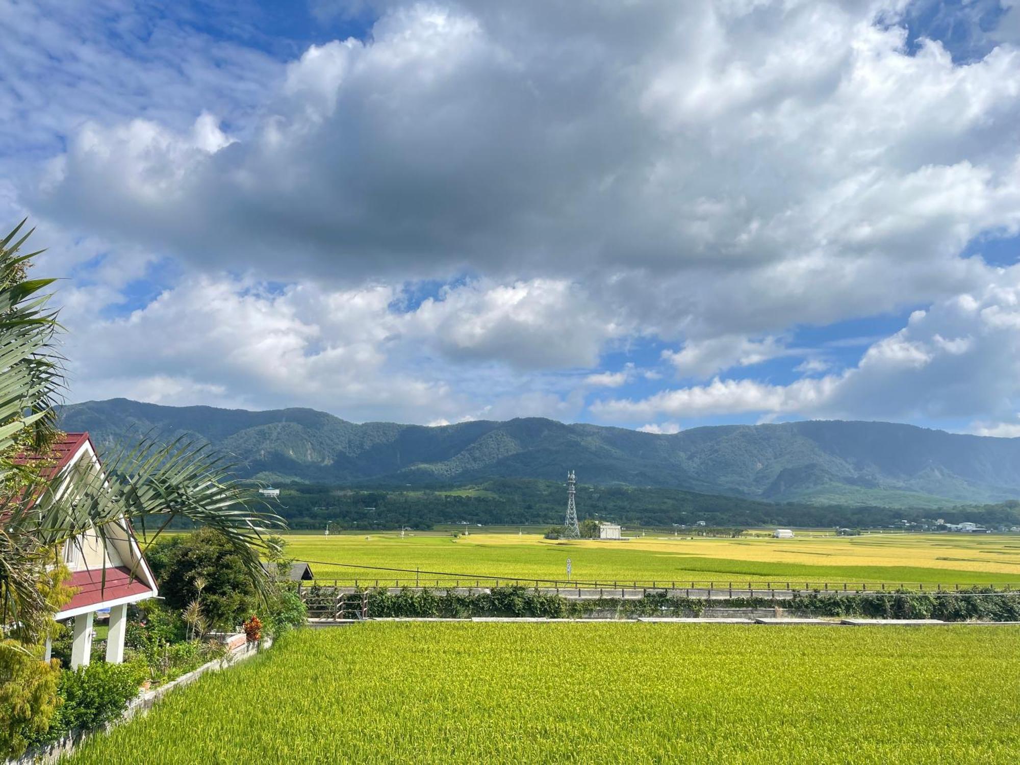 Holiday Homestay Chishang Esterno foto