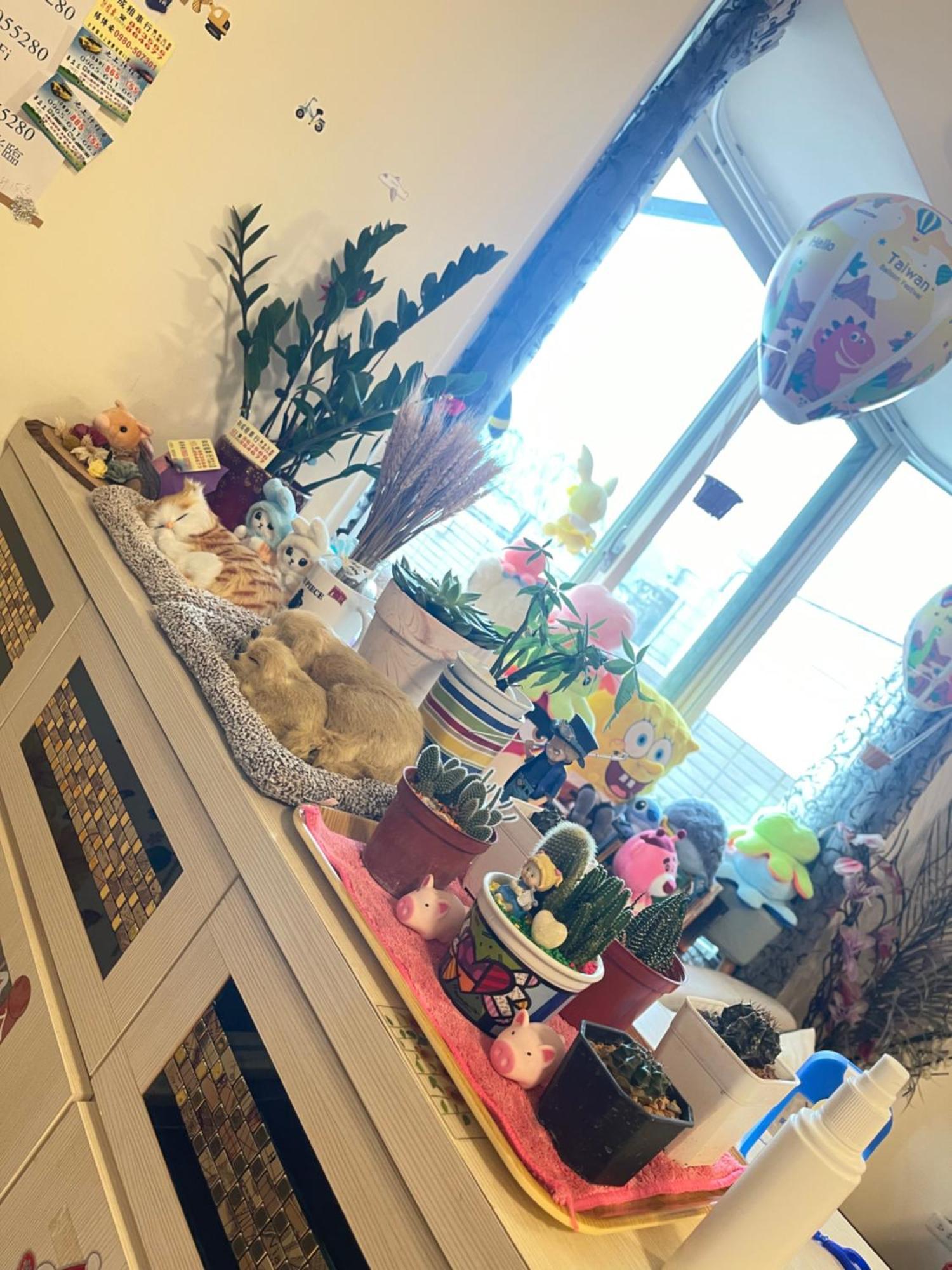 Holiday Homestay Chishang Esterno foto